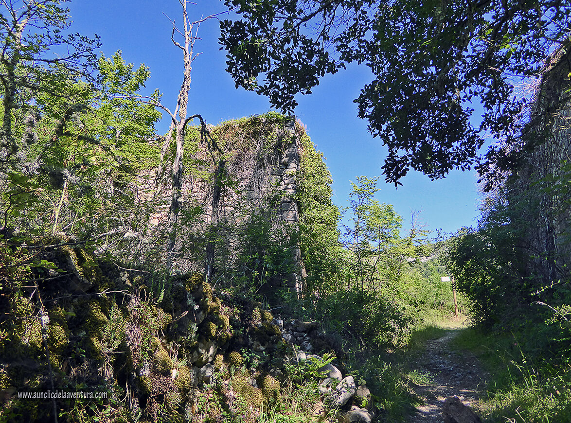 Muros de las casas del pueblo fantasma de Siero - ruta desde Valdelateja hasta la ermita de Castrosiero Muros de las casas del pueblo fantasma de Siero - ruta desde Valdelateja hasta la ermita de Castrosiero