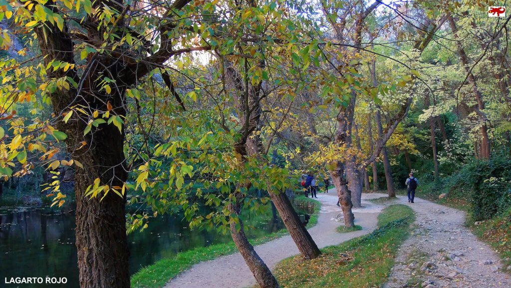 Paseando por el Monasterio de Piedra