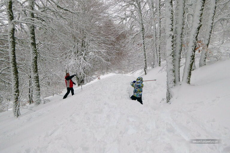 La nieve en Pineda de la Sierra, Burgos