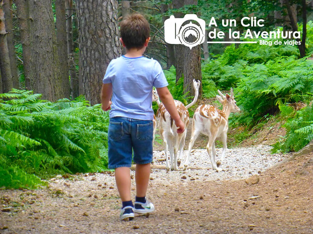 A un clic de la aventura blog de viajes en familia
