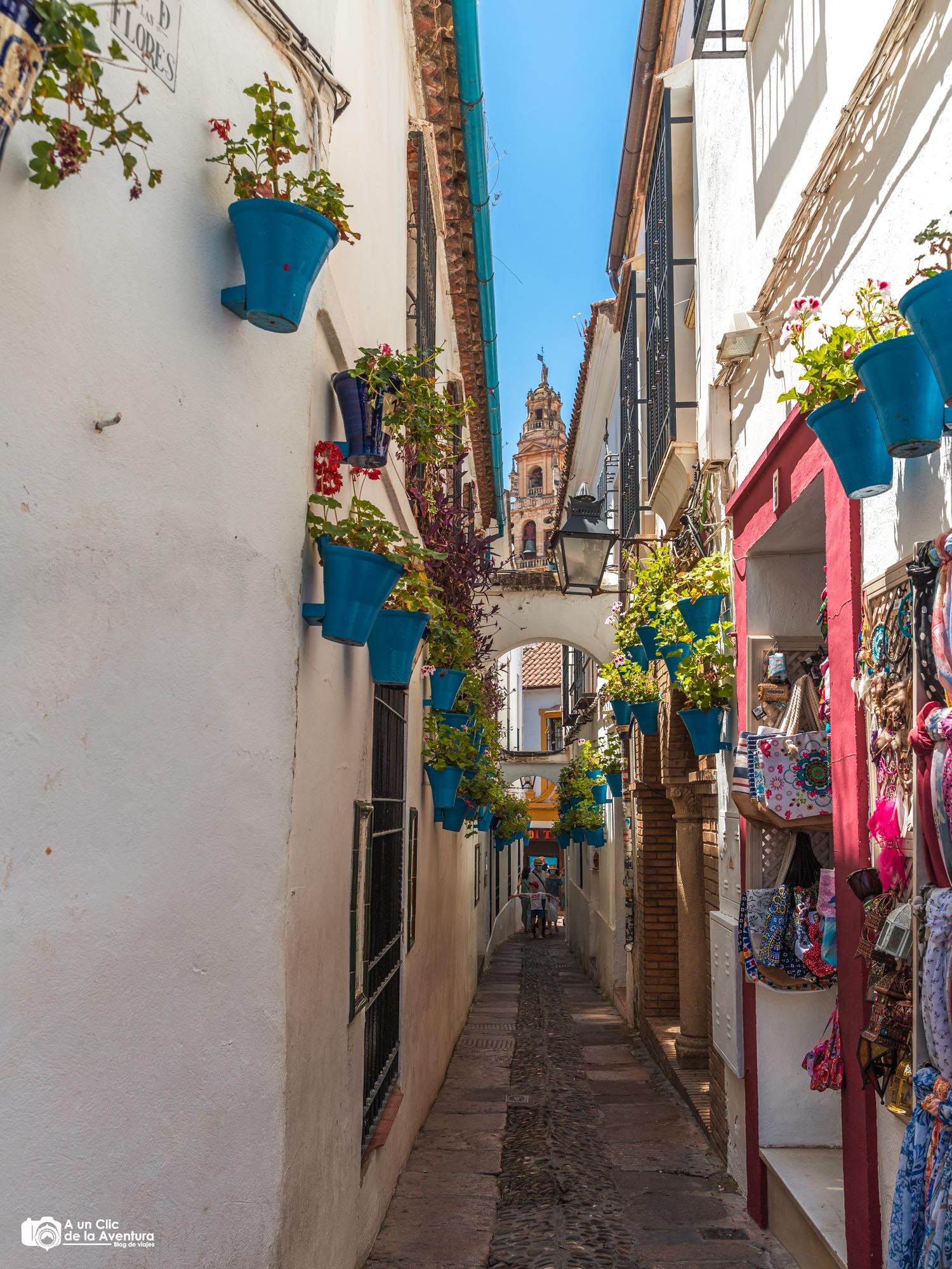 Calle de las Flores, Córdoba