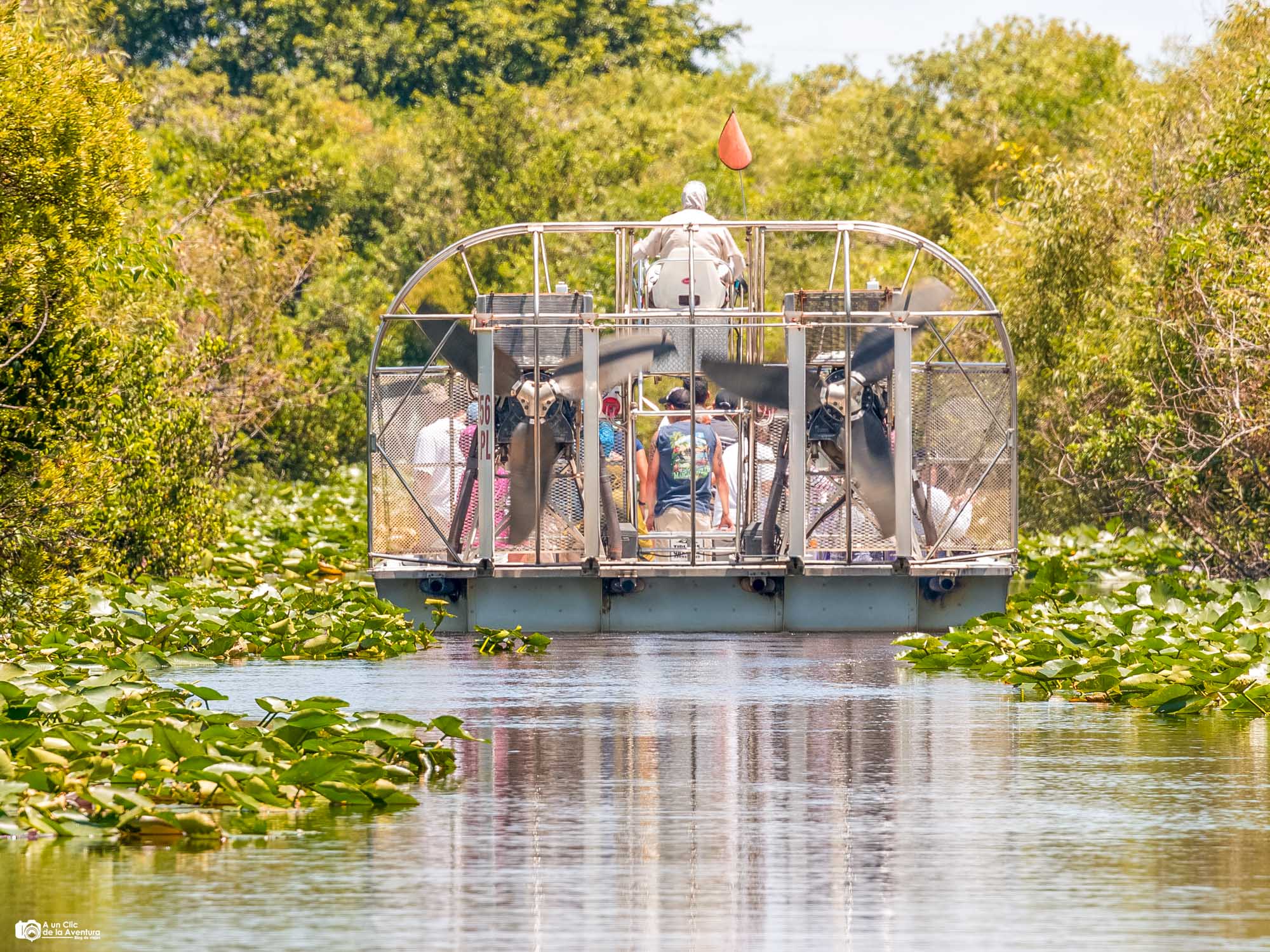 Everglades- Que ver en Miami