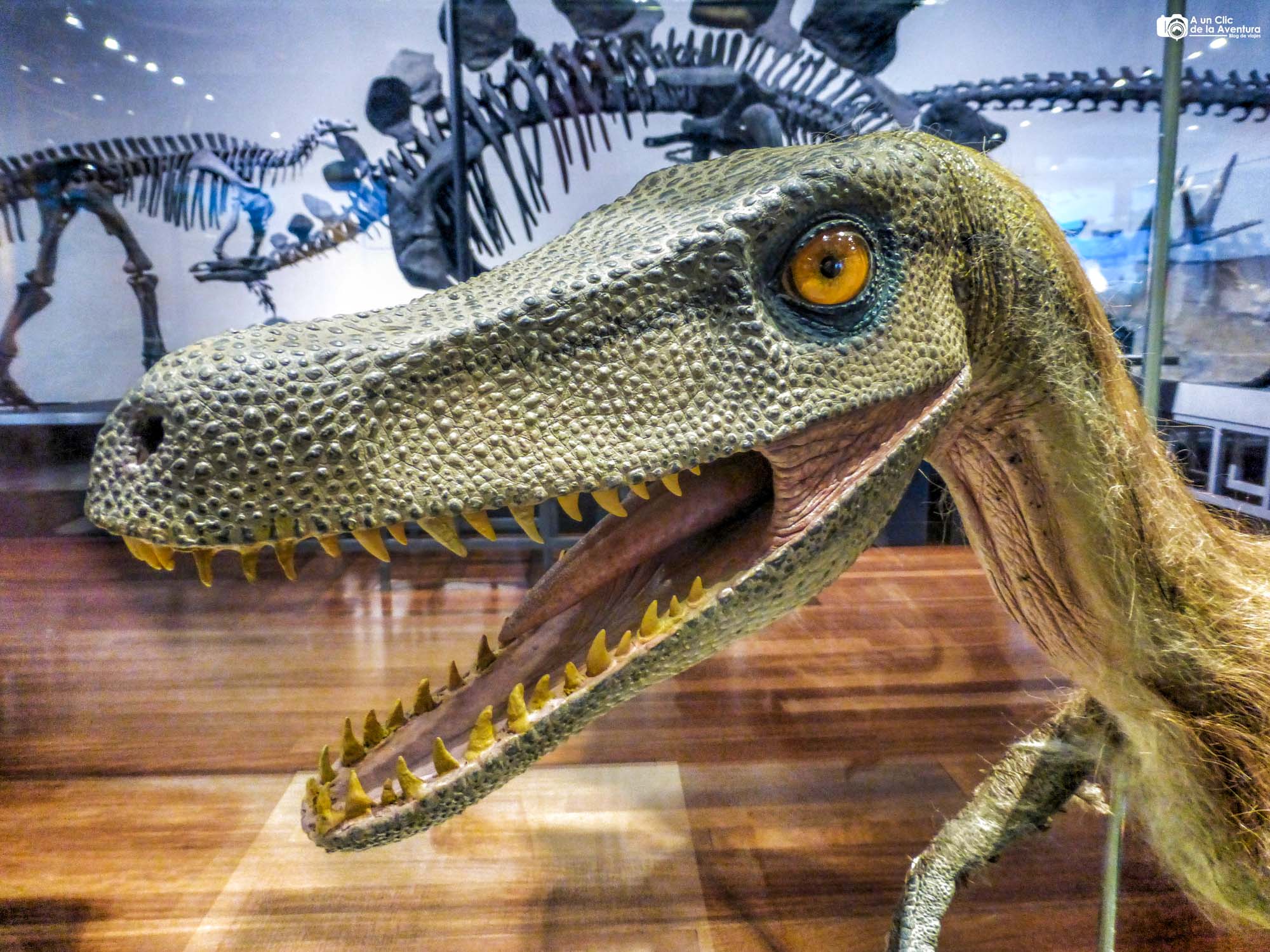 Dinosaurios en el Museo Nacional de Ciencias Naturales Madrid con niños