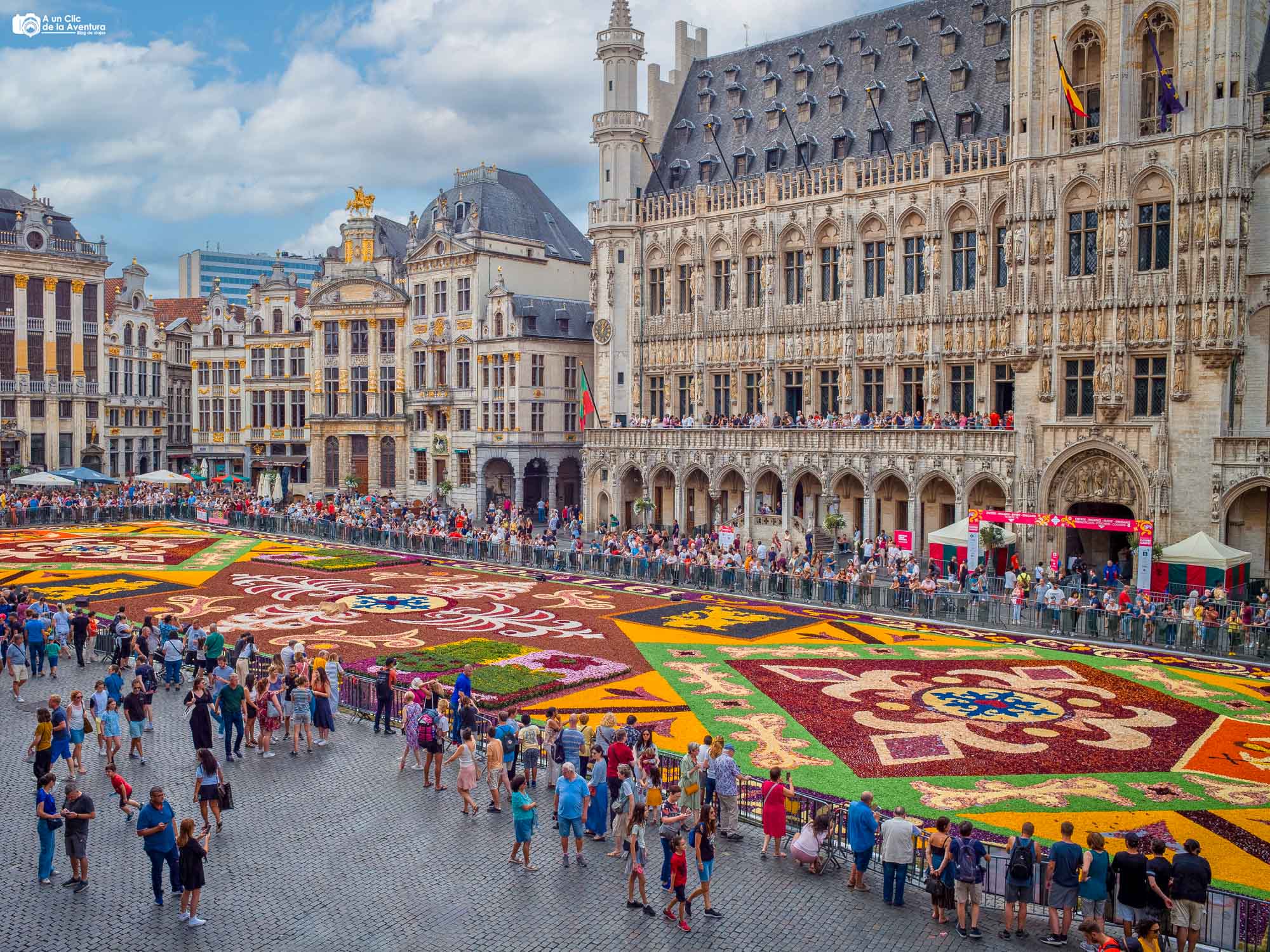 Alfombra de Flores en la Grand Place de Bruselas