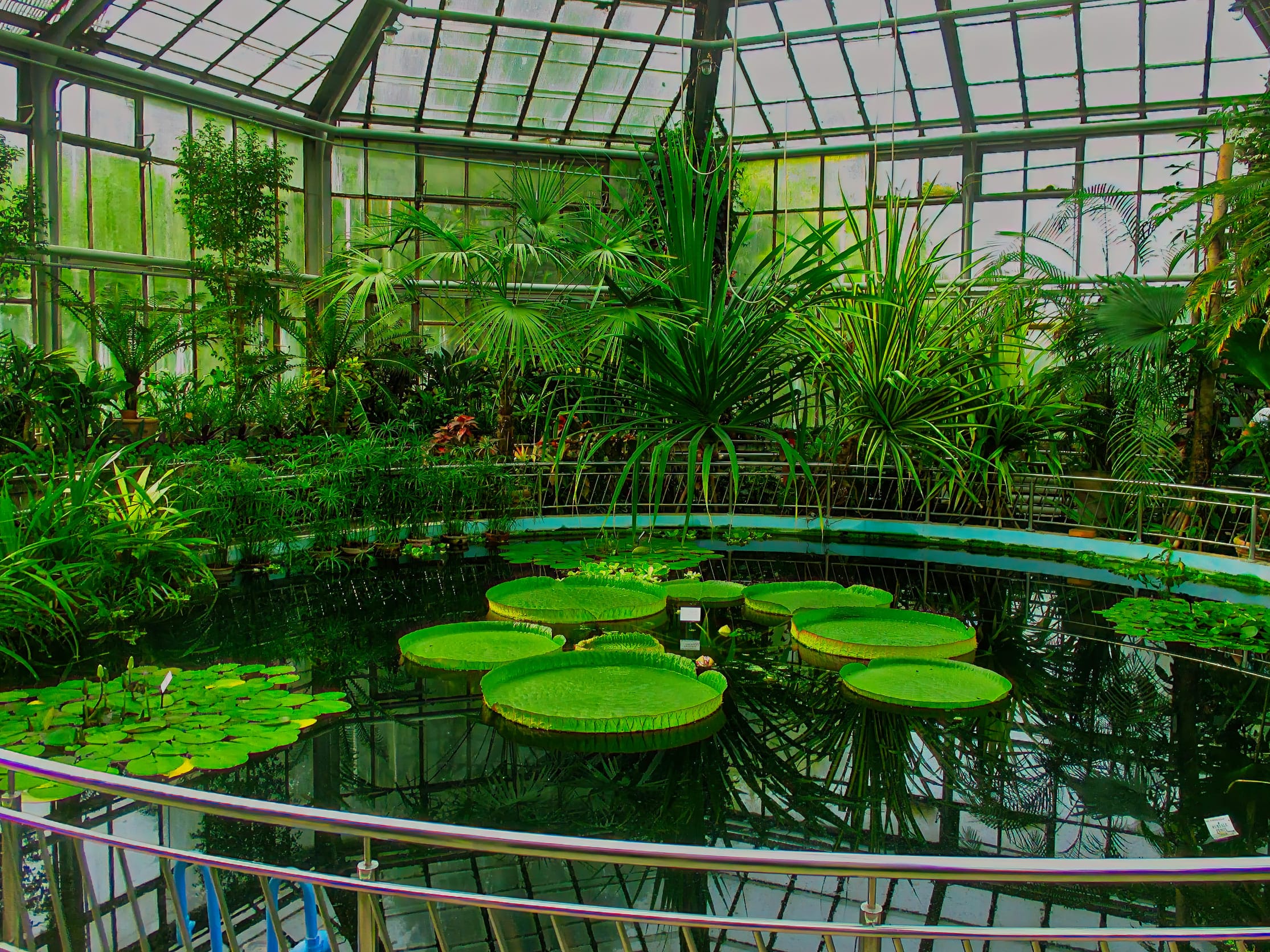 Invernadero del Jardín Botánico "Alexandru Borza" Cluj-Napoca