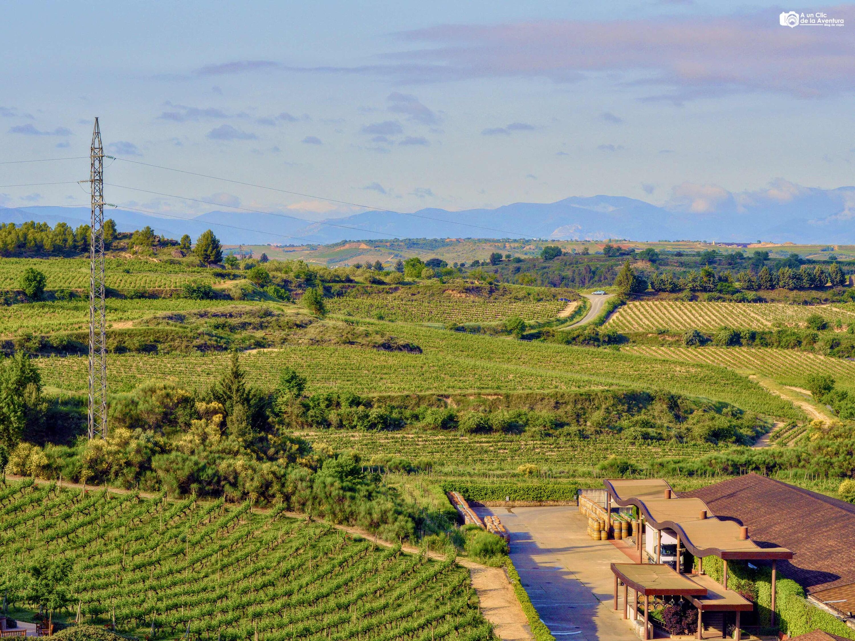 Viñedos de La Rioja en Elciego
