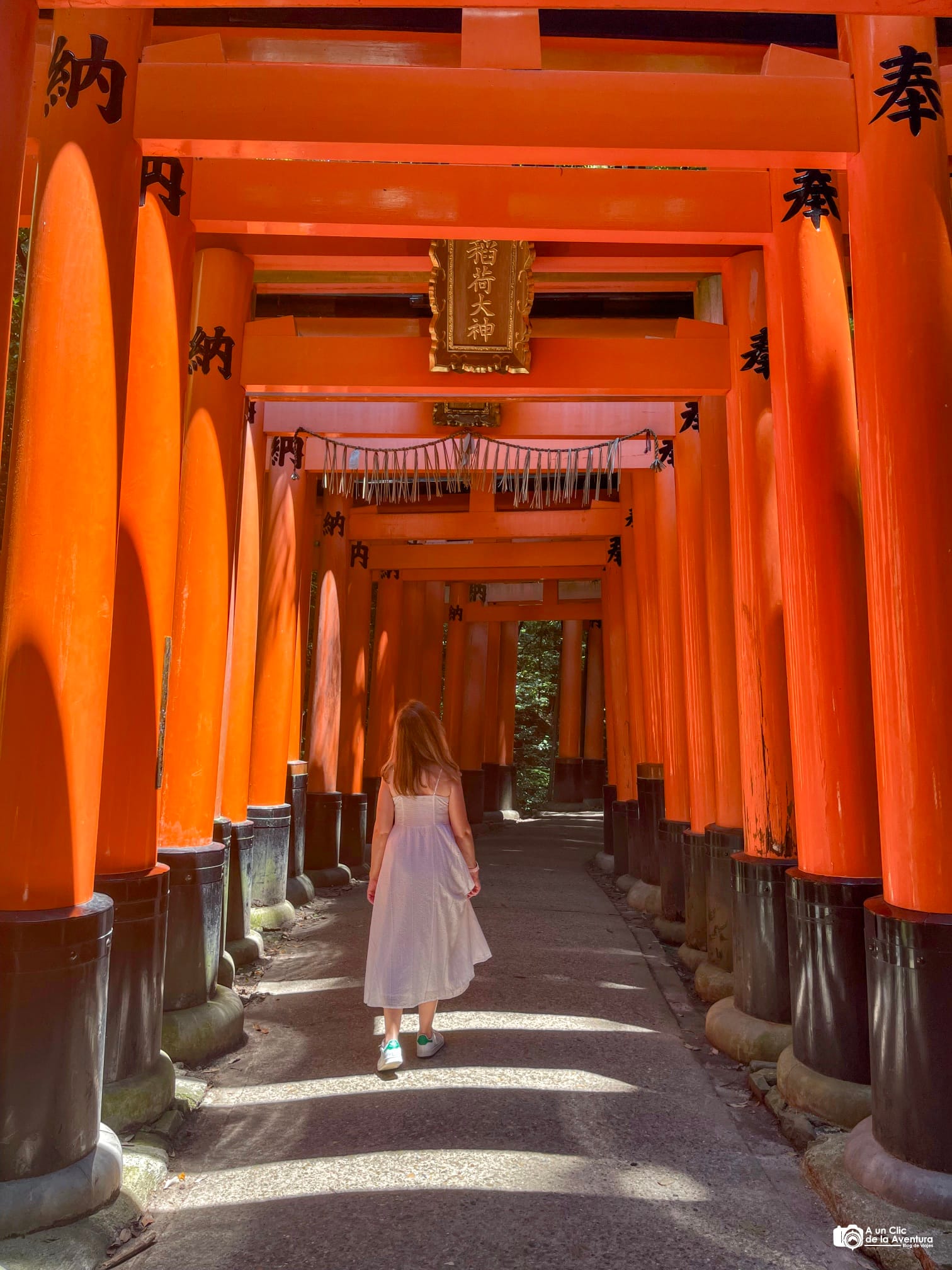 Santuario Fushimi Inari Taisha- Que ver en Kioto en 4 días